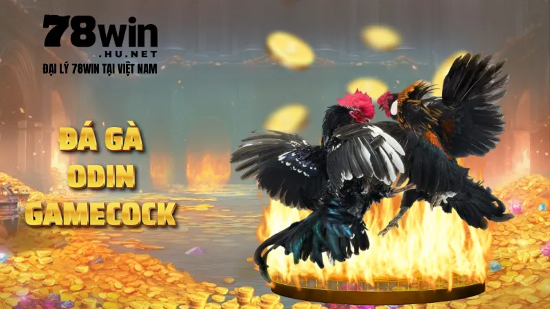 Đá gà Odin Gamecock tại 78Win tỷ lệ trả thưởng cực cao